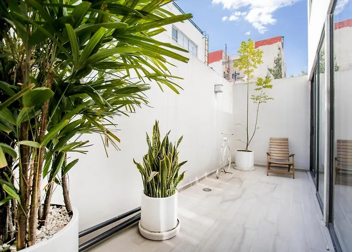 La Condesa Vogue & Trendy By Livemexicocity *